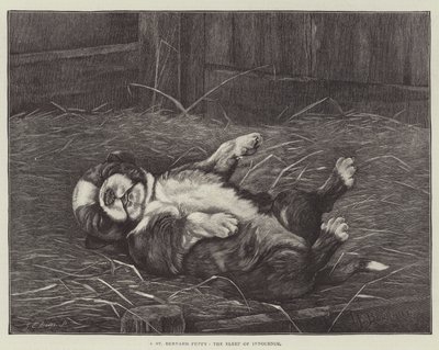 Un cachorro de San Bernardo, el sueño de la inocencia de James E. Bourhill
